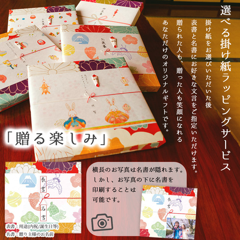 2023 Japanese tea gift Kakegawa deep steamed tea 100g 2 types (first harvest tea 100g, special 88 night tea 100g)