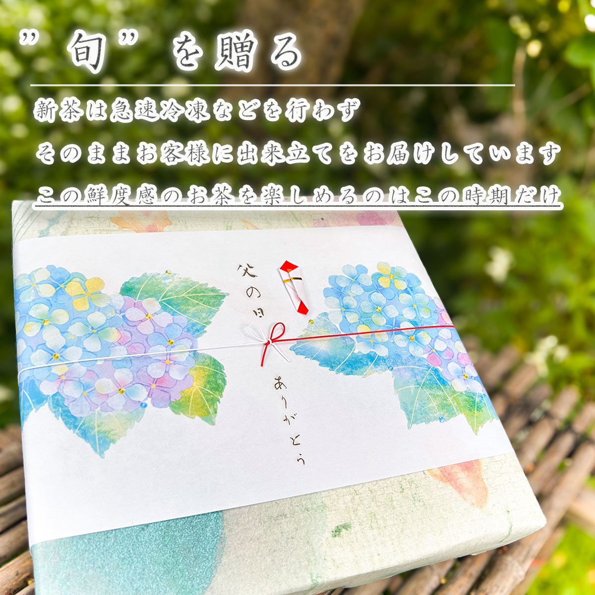 2023 Japanese tea gift Kakegawa deep steamed tea 100g 2 types (first harvest tea 100g, special 88 night tea 100g)