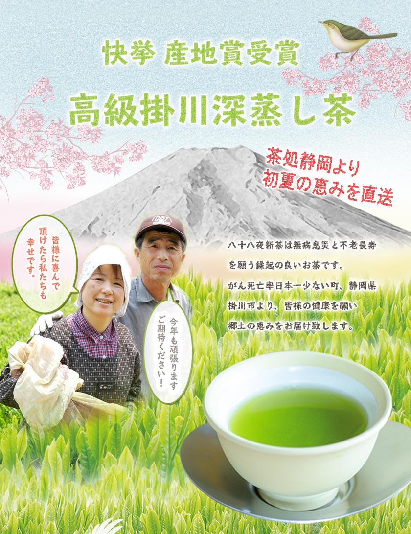 お茶旅 特上八十八夜茶 100g 掛川茶 ab