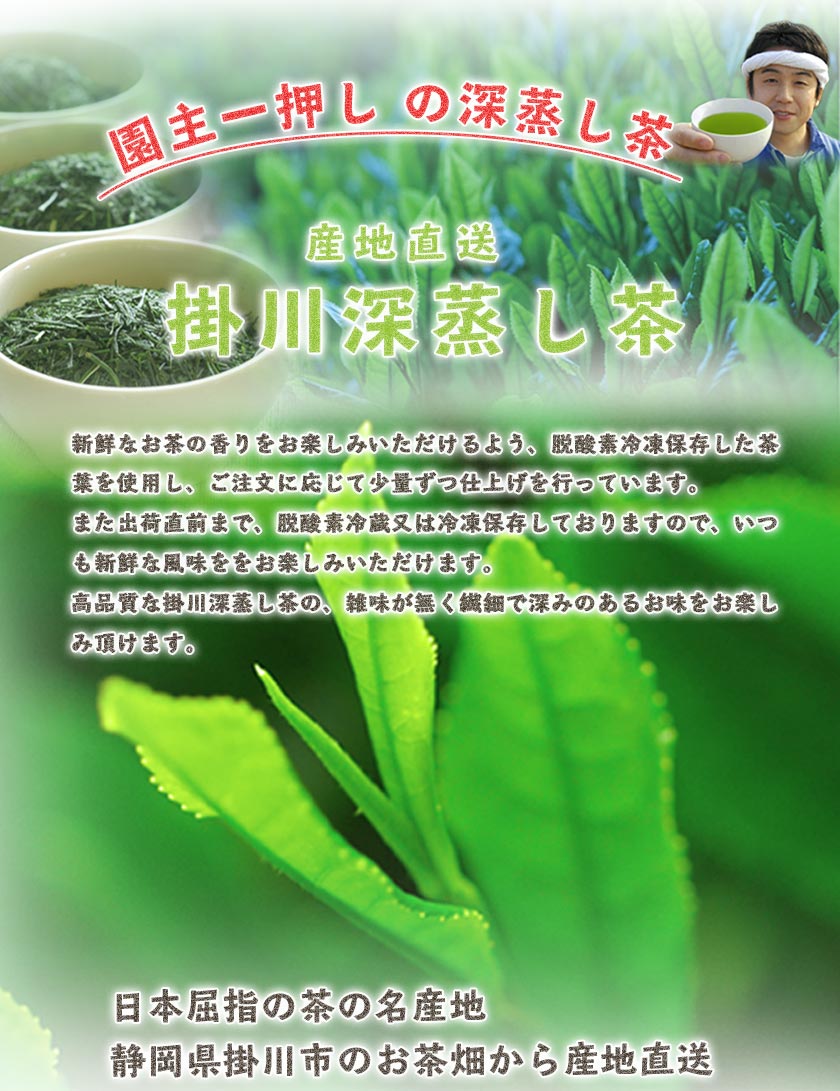 お茶旅 特上八十八夜茶 100g 掛川茶 ab