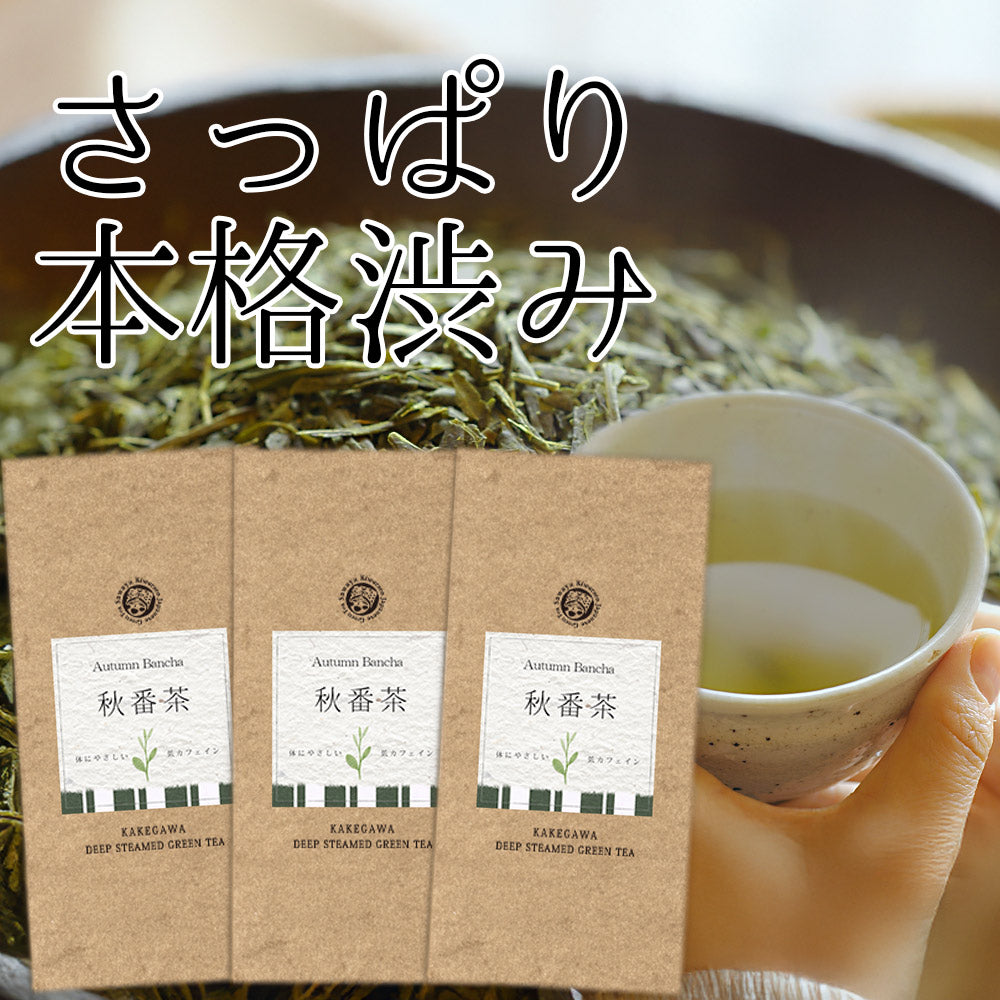 SAWAYA 4th Bancha Autumn Bancha 250g x 6 pcs = 1.5kg