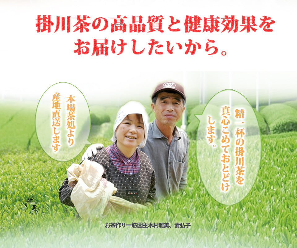 Powdered tea Kakegawa tea Ichibancha 50g