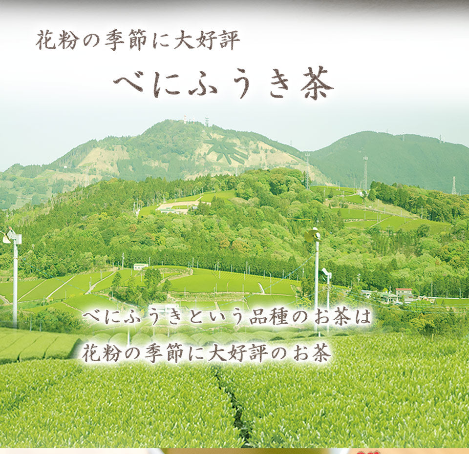 Tea Trip Benifuki Tea Pecan Nut Chocolate Can & Drip Tea Petit Gift