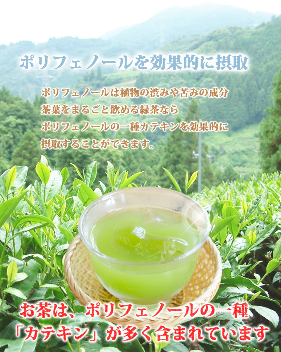 Tea Green Tea Cold Brew Green Tea Tea Pack 6g x 20 pieces