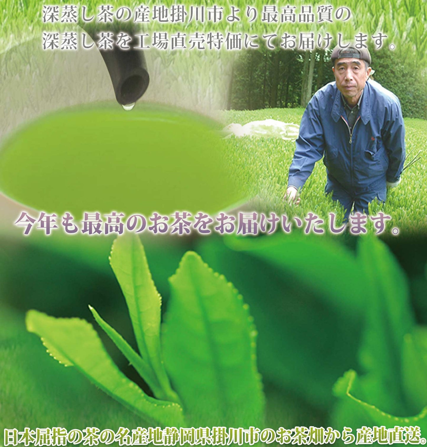 お茶旅 お供え 香典返し 仏事用ギフト掛川深蒸し一番茶70g×2種 【お茶 緑茶 仏事 】