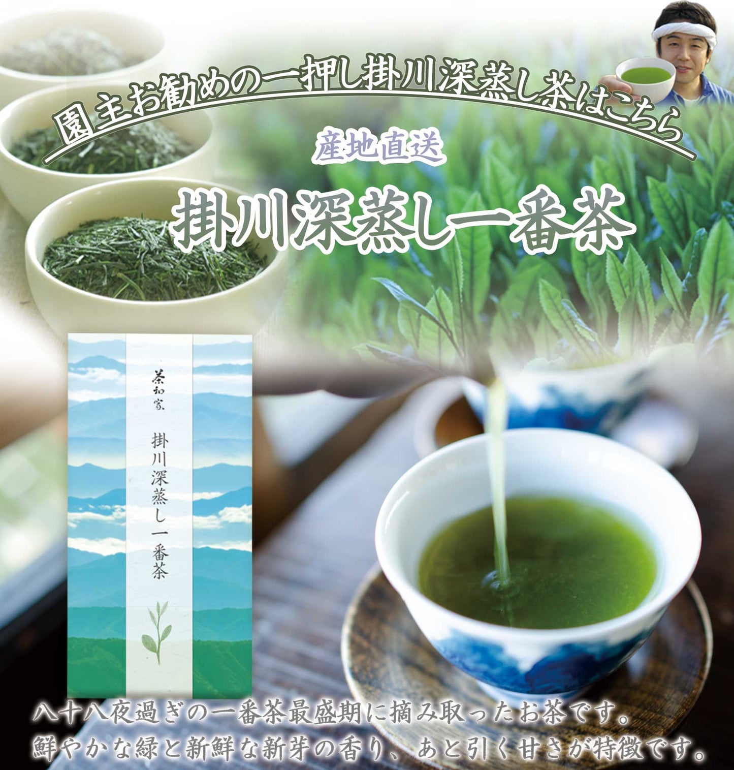 お茶旅 お供え 香典返し 仏事用ギフト掛川深蒸し一番茶70g×2種 【お茶 緑茶 仏事 】