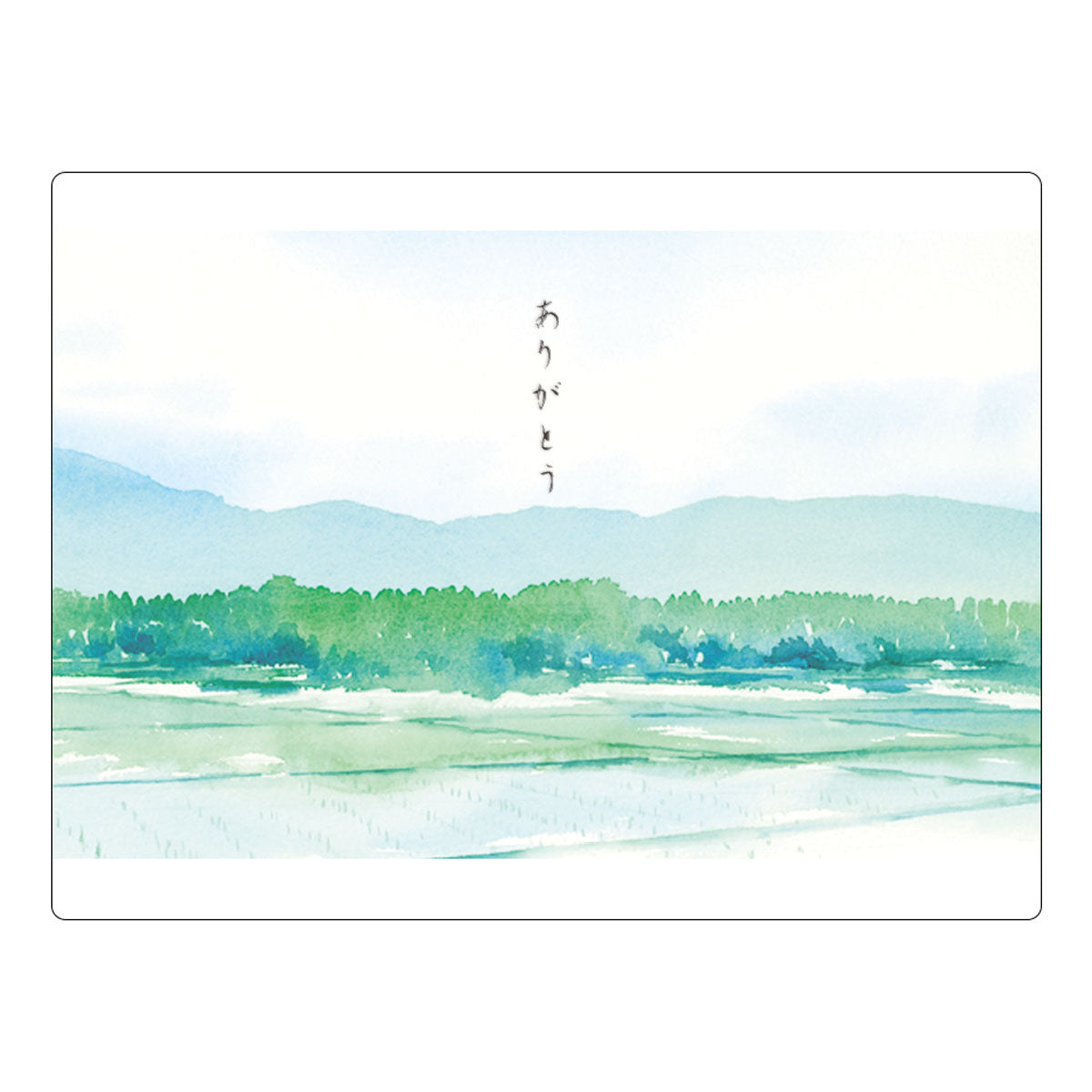 Green tea, tea leaves, tea, Chawa-ya, catechin, deep-steamed Kakegawa tea, free shipping, choose from 3 types of deep-steamed tea (110g, 100g, 70g), small gift, free wrapping, Shizuoka tea