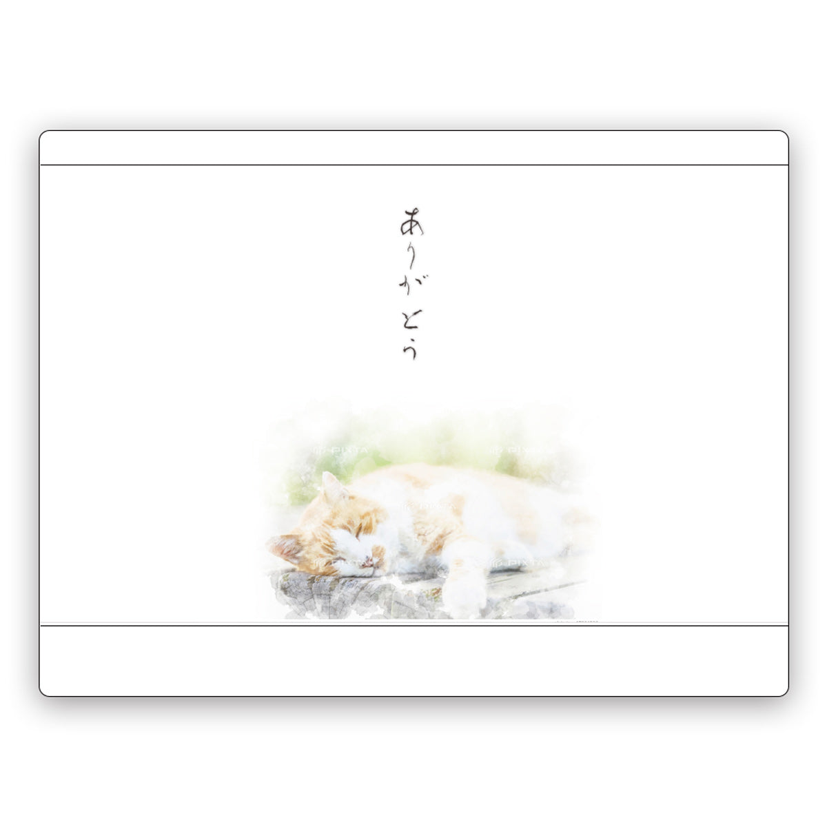 Green tea, tea leaves, tea, Chawa-ya, catechin, deep-steamed Kakegawa tea, free shipping, choose from 3 types of deep-steamed tea (110g, 100g, 70g), small gift, free wrapping, Shizuoka tea