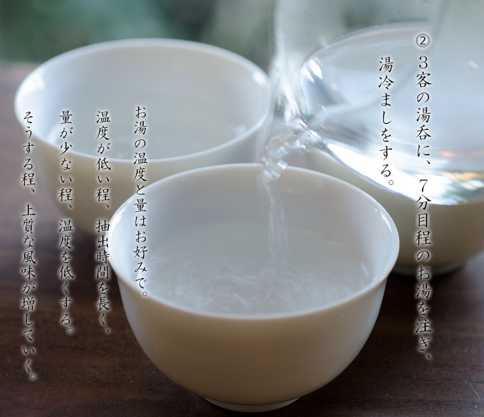 Tsuzuki Hosaku White Clay Unglazed Teapot 210cc A non-clogging teapot perfect for deeply steamed tea