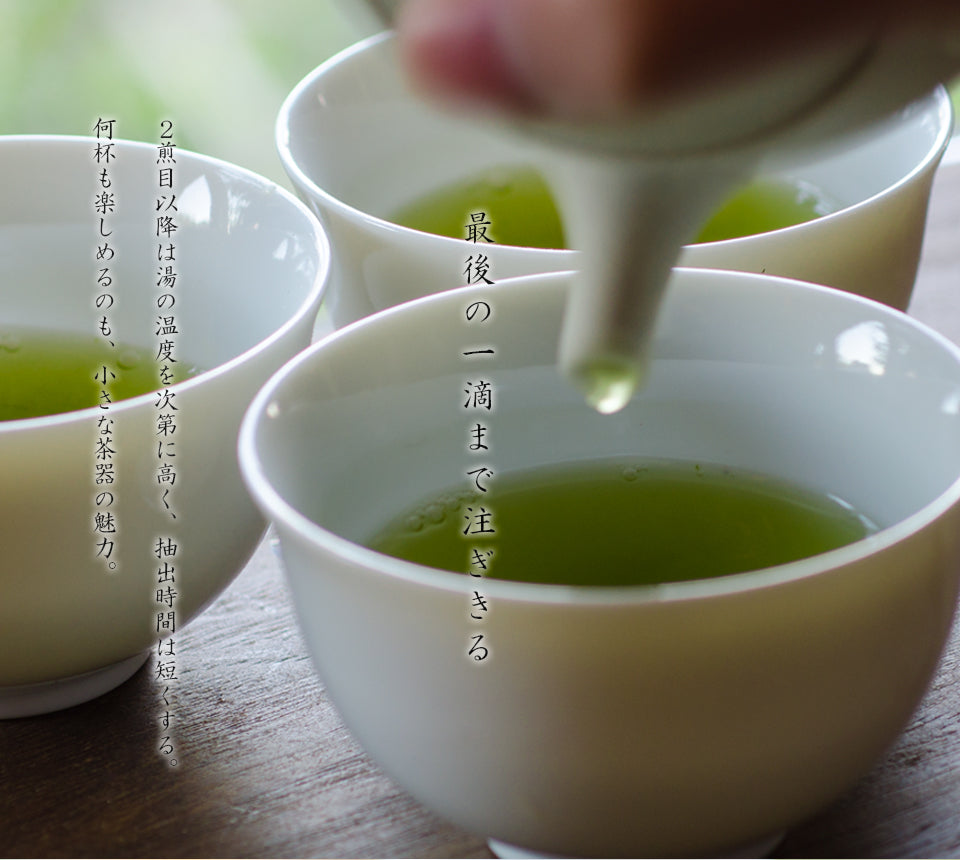 Tsuzuki Hosaku White Clay Unglazed Teapot 210cc A non-clogging teapot perfect for deeply steamed tea
