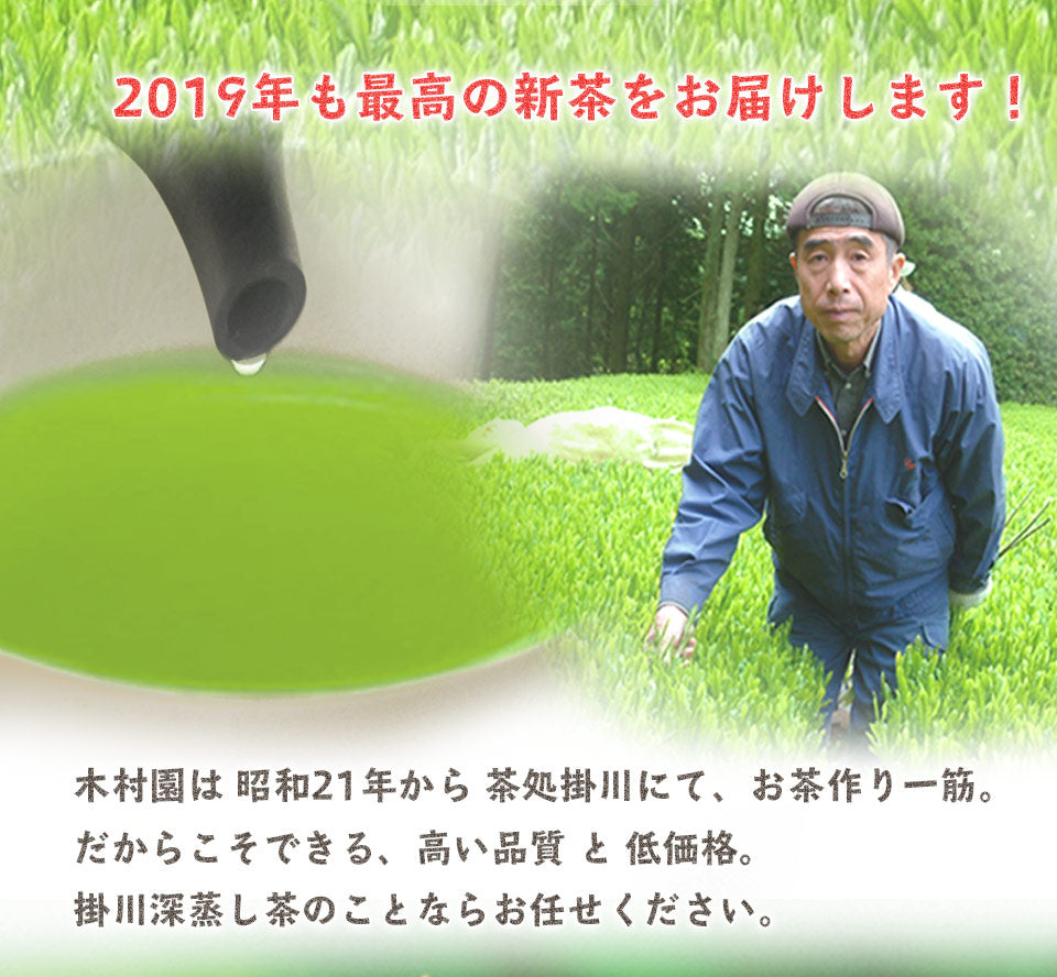 Chawaya First Picked Tea 100g Kakegawa Tea Deep Steamed Tea Tea Leaves