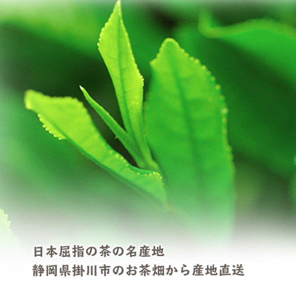 Chawaya First Picked Tea 100g Kakegawa Tea Deep Steamed Tea Tea Leaves