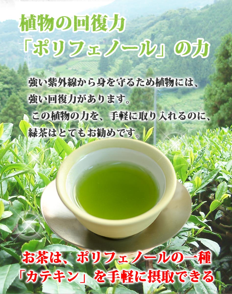 Chawaya Eighty-eighth Night Fragrance Eighty-eighth Night Tea Tea Pack 2.5g 20 bags with string Chamusume tag
