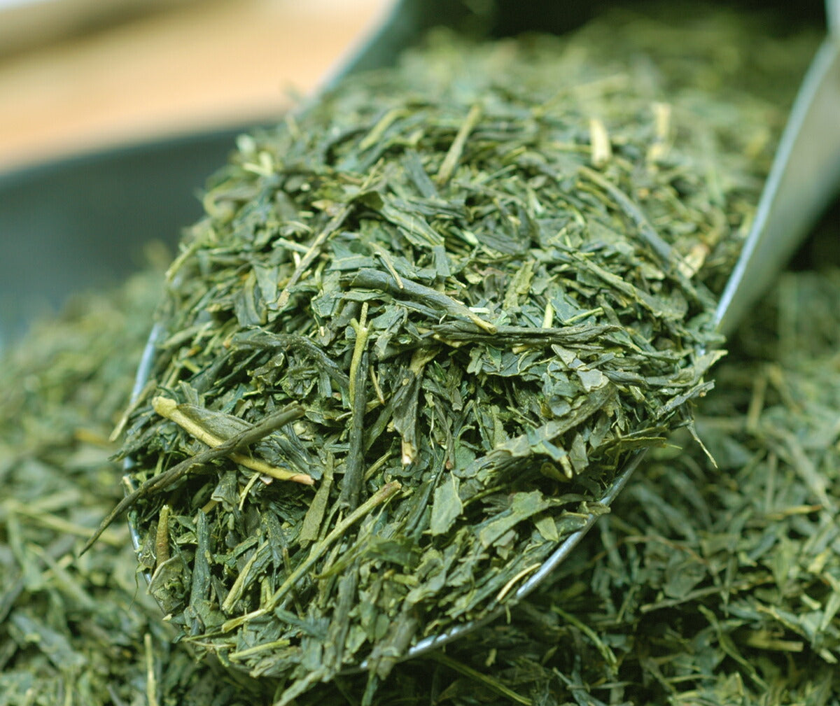 SAWAYA 4th Bancha Autumn Bancha 250g x 6 pcs = 1.5kg