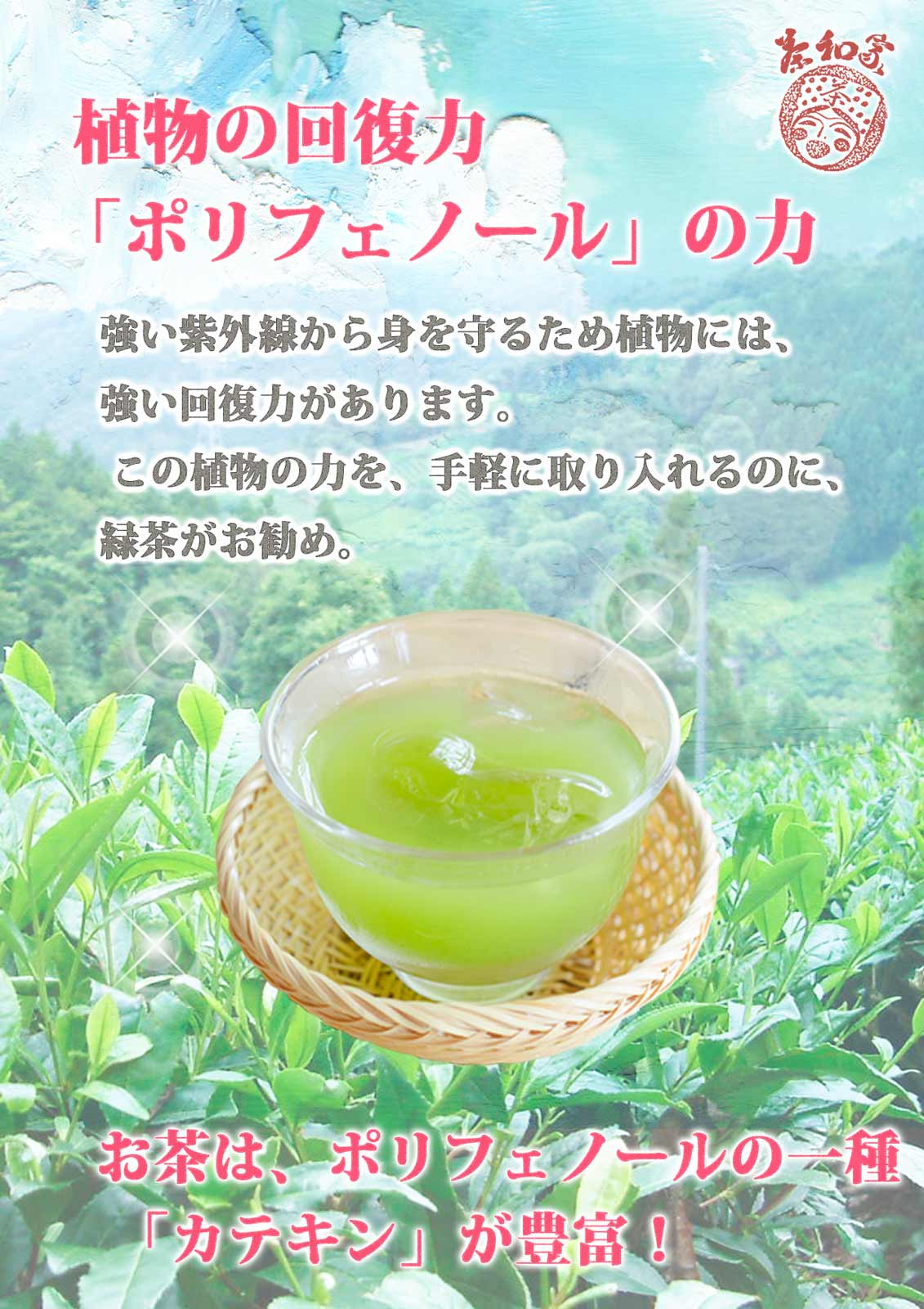 Green tea, tea leaves, tea, Chawa-ya, catechin, deep-steamed Kakegawa tea, free shipping, choose from 3 types of deep-steamed tea (110g, 100g, 70g), small gift, free wrapping, Shizuoka tea