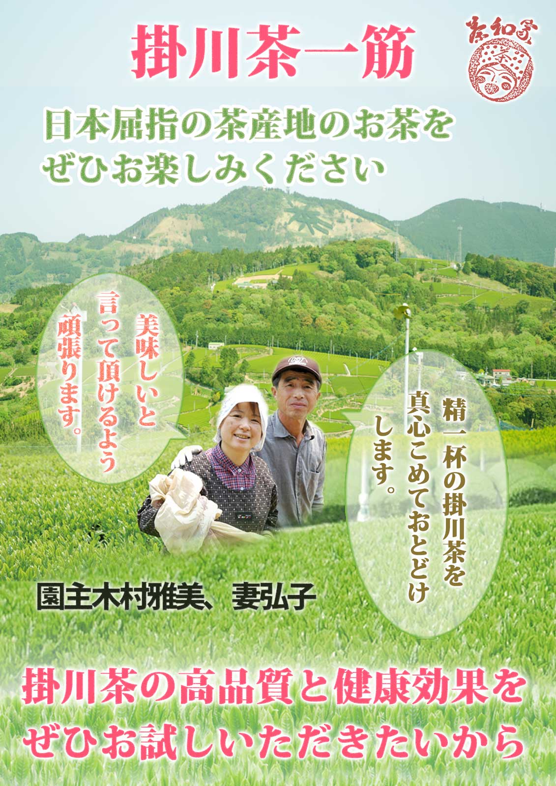 Green tea, tea leaves, tea, Chawa-ya, catechin, deep-steamed Kakegawa tea, free shipping, choose from 3 types of deep-steamed tea (110g, 100g, 70g), small gift, free wrapping, Shizuoka tea