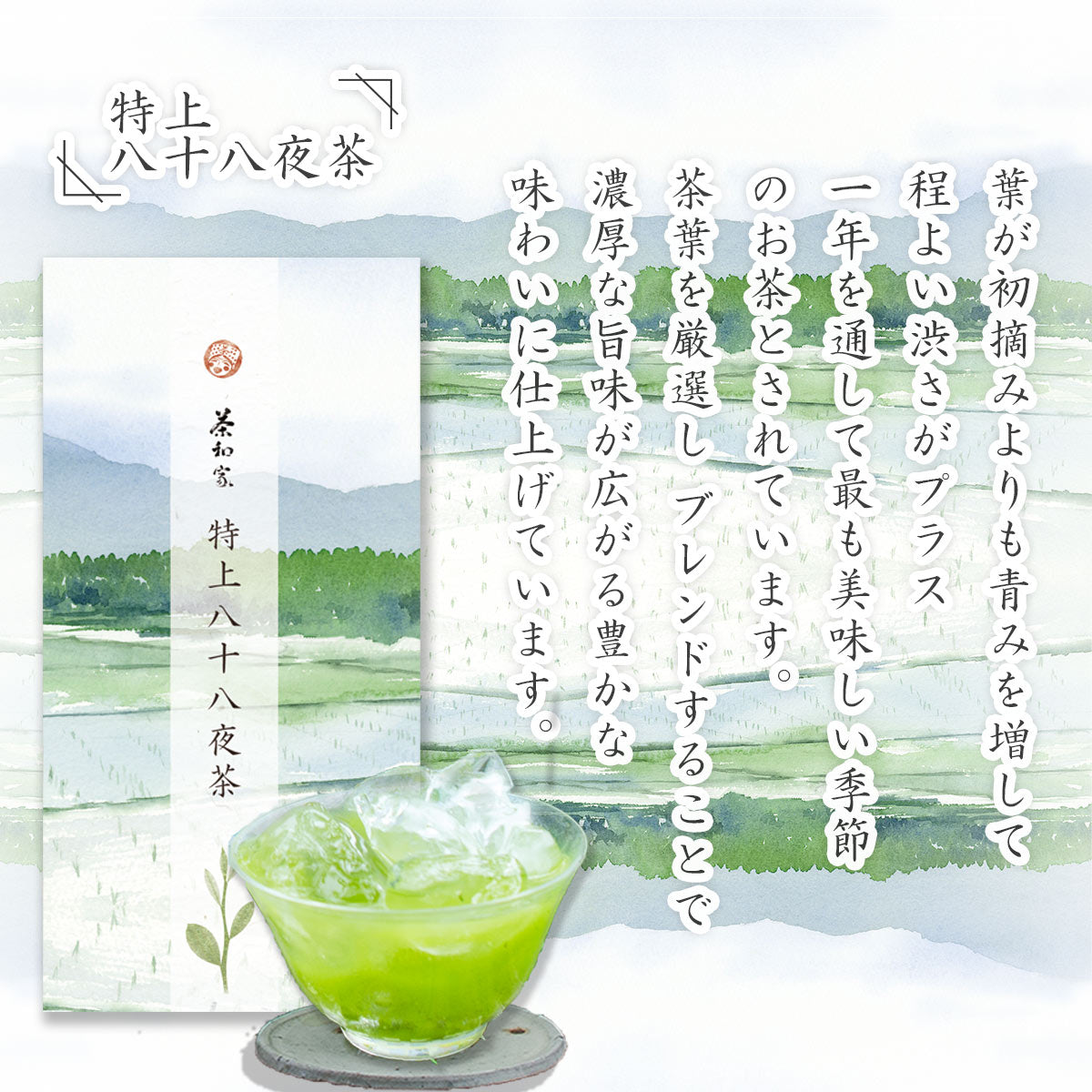 2023 Japanese tea gift Kakegawa deep steamed tea 100g 2 types (first harvest tea 100g, special 88 night tea 100g)