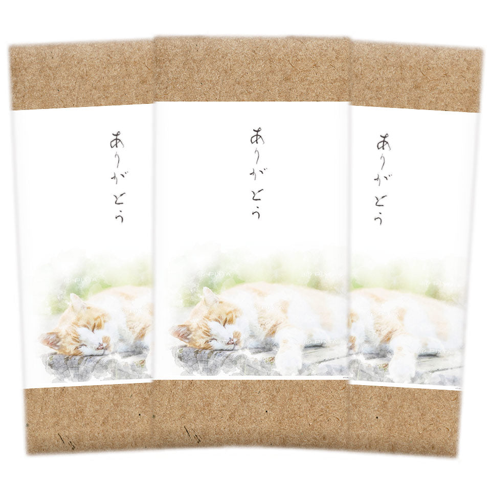 Green tea, tea leaves, tea, Chawa-ya, catechin, deep-steamed Kakegawa tea, free shipping, choose from 3 types of deep-steamed tea (110g, 100g, 70g), small gift, free wrapping, Shizuoka tea