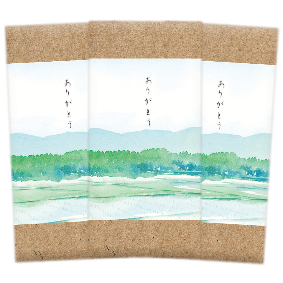 Green tea, tea leaves, tea, Chawa-ya, catechin, deep-steamed Kakegawa tea, free shipping, choose from 3 types of deep-steamed tea (110g, 100g, 70g), small gift, free wrapping, Shizuoka tea