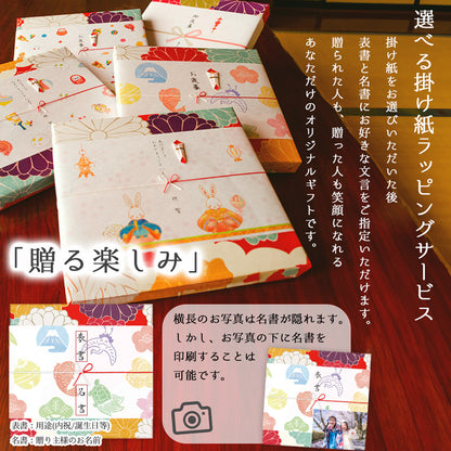 2023 Japanese tea gift Kakegawa deep steamed tea 100g 2 types (first harvest tea 100g, special 88 night tea 100g)