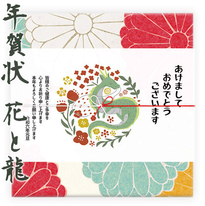 2023年 日本茶 ギフト 掛川深蒸し茶 100g2種  （初摘み茶100g 特上八十八夜茶100g）