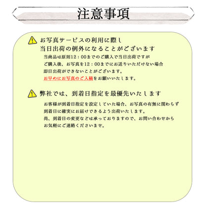 2023 Japanese tea gift Kakegawa deep steamed tea 100g 2 types (first harvest tea 100g, special 88 night tea 100g)