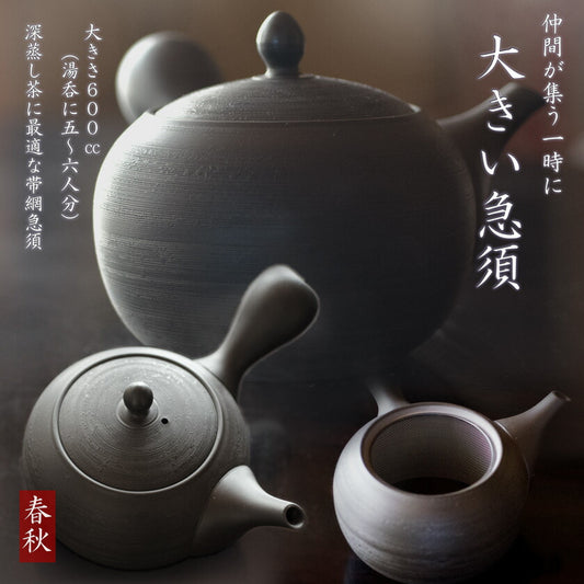 Large teapot, Tokoname ware, Obi mesh teapot for deep steamed tea, Shunju, 600cc, 5-6 cups, Tokoname ware