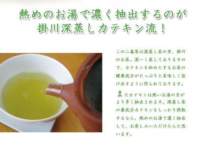 静岡県掛川市産 深蒸し煎茶 茶和家 毎日飲むお茶 250gx6本＝1500g （カテキン豊富な 2番茶）