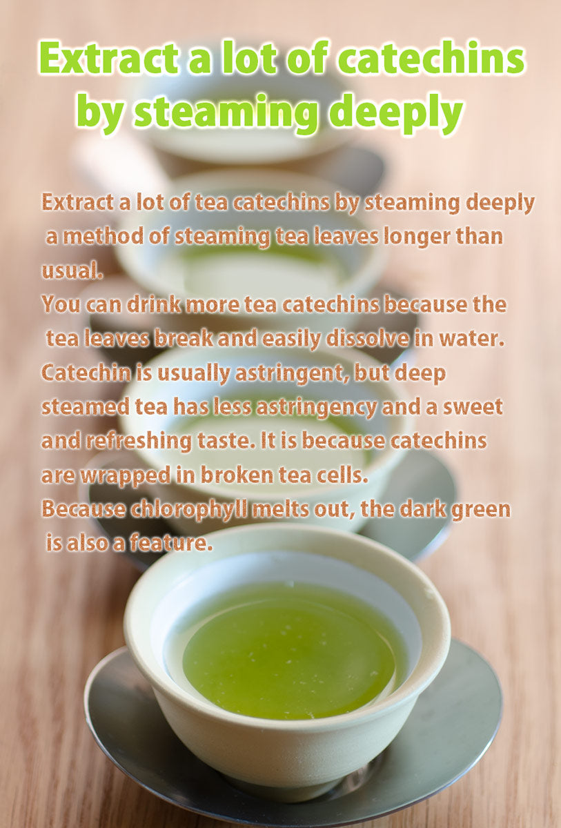 SAWAYA Kimuraen Whole Catechin Deep Steamed Kakegawa Green tea 100g x 17 pcs
