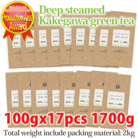 SAWAYA Kimuraen Whole Catechin Deep Steamed Kakegawa Green tea 100g x 17 pcs