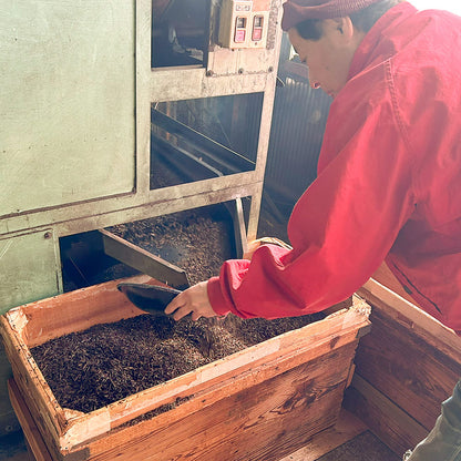 Ochatabi Hojicha - Roasted Japanese Green Tea from Shizuoka