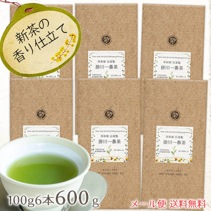 茶和家 自家製 掛川一番茶 100g 深蒸し茶